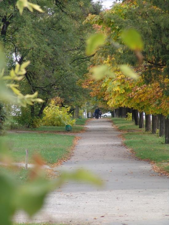 Чернігівка з panoramio.com - Чернігівка