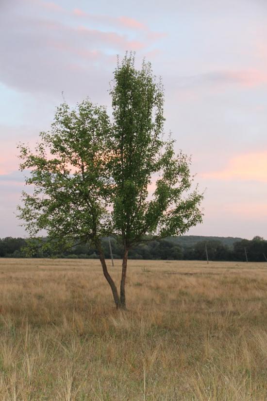 Деркачівка з panoramio.com - Деркачовка