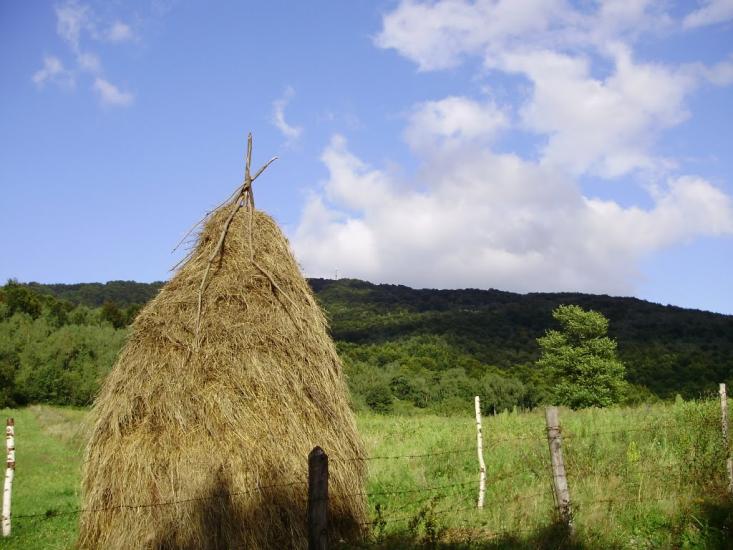 Руський Мочар з panoramio.com - Русский Мочар