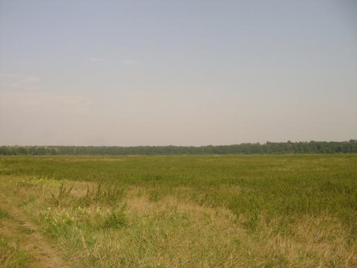 Березань з panoramio.com - Berezan