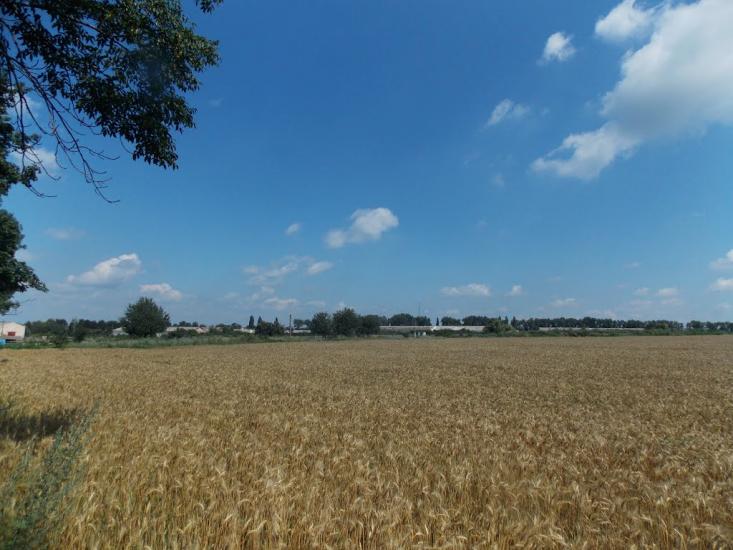 Дашів з panoramio.com - Dashiv