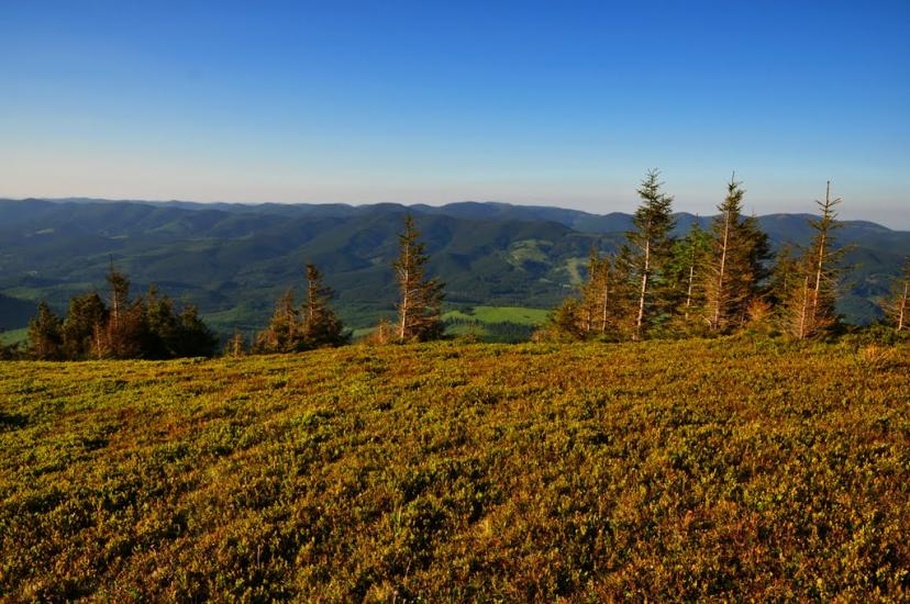 Кривопілля з panoramio.com - Кривопілля