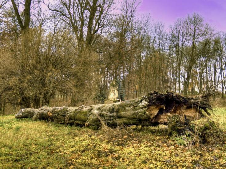 Угринів з panoramio.com - Угринів