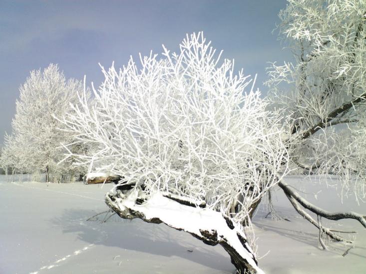 Бірки з panoramio.com - Борки