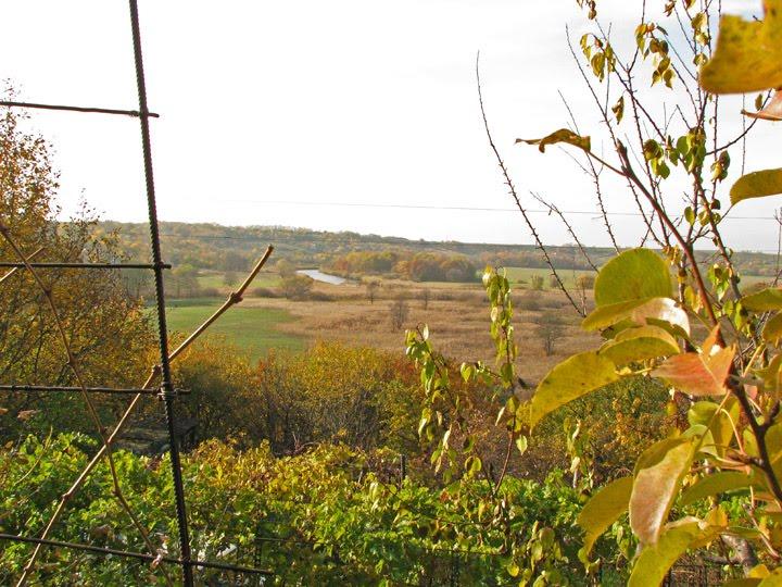 Литвинівка з panoramio.com - Литвиновка