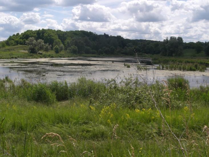 Ходосівка з panoramio.com - Ходосовка
