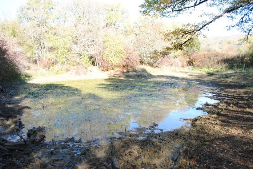 Поляна з panoramio.com - Поляна