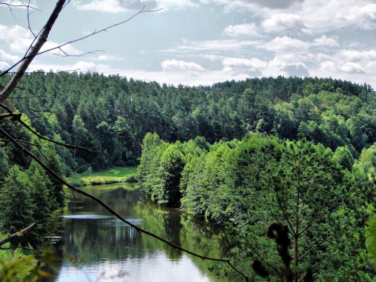 Миропіль з panoramio.com - Мирополь