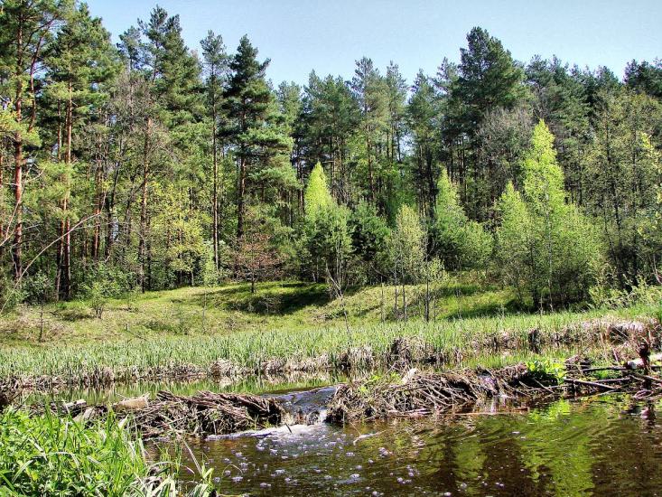 Миропіль з panoramio.com - Мирополь