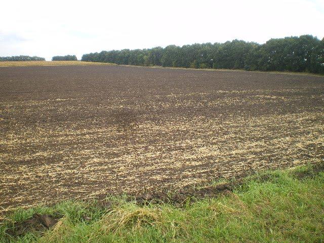 Хрещате з panoramio.com - Хрещатое