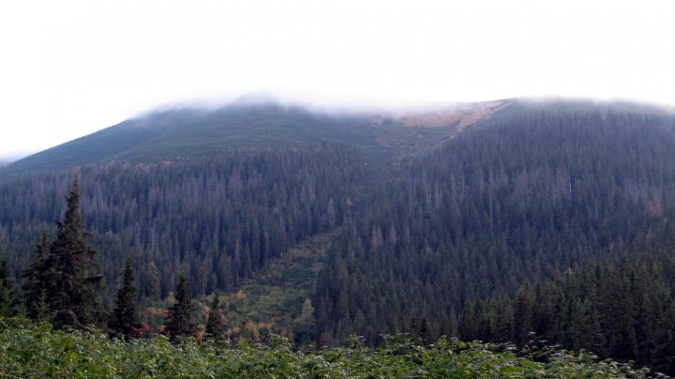 Мислівка з panoramio.com - Мислівка