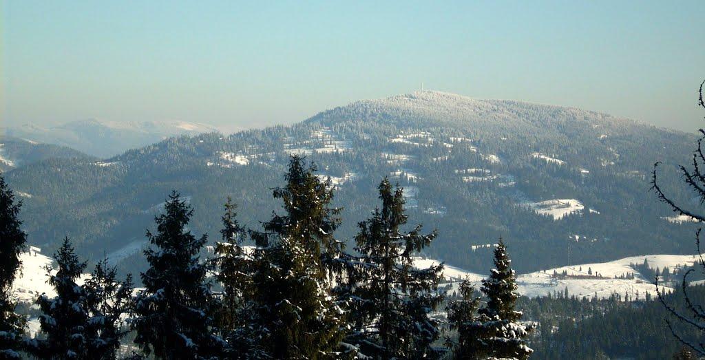 Тухолька з panoramio.com - Tukholka