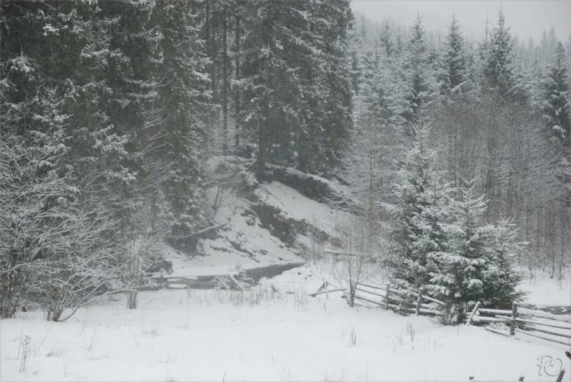 Згари з panoramio.com - Згары