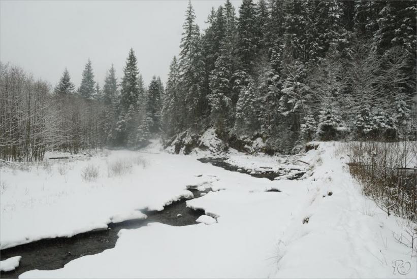 Згари з panoramio.com - Згары