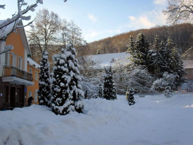 Синяк з panoramio.com - Синяк