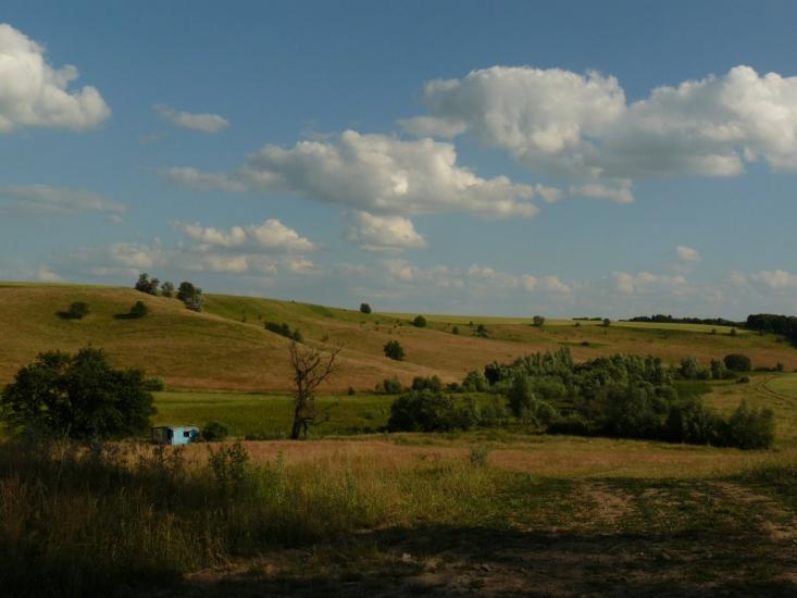 Сніжки з panoramio.com - Сніжки