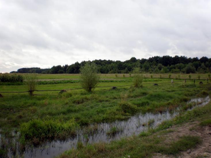 Облапи з panoramio.com - Oblapy