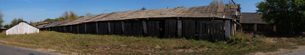 Ладижинка з panoramio.com - Ладыжинка