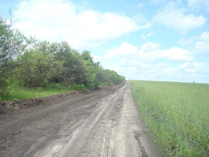 Давидківці з panoramio.com - Давыдковцы