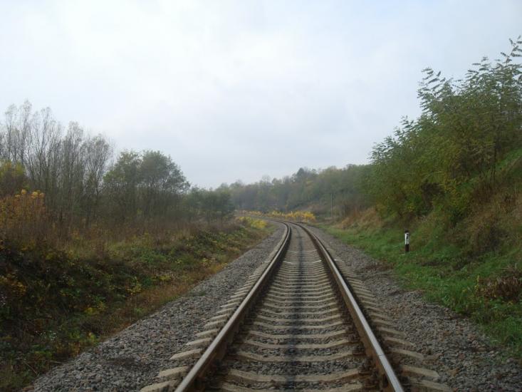 Кузьминчик з panoramio.com - Кузминчик