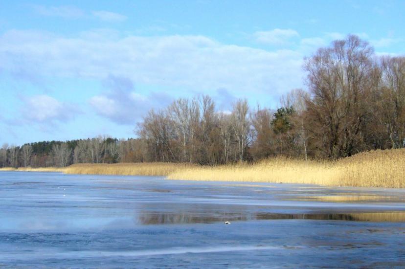 Рубці з panoramio.com - Рубцы