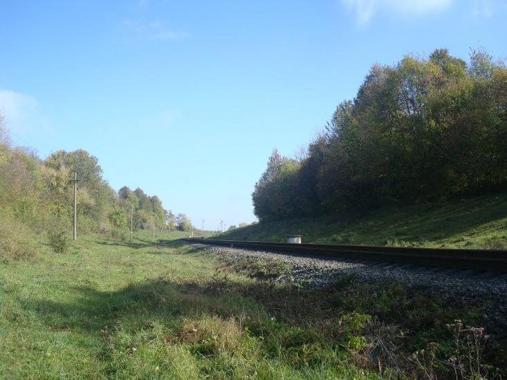 Велика Калинівка з panoramio.com - Велика Калинівка