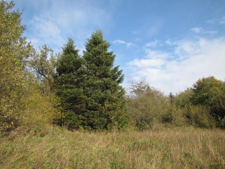 Опака з panoramio.com - Opaka