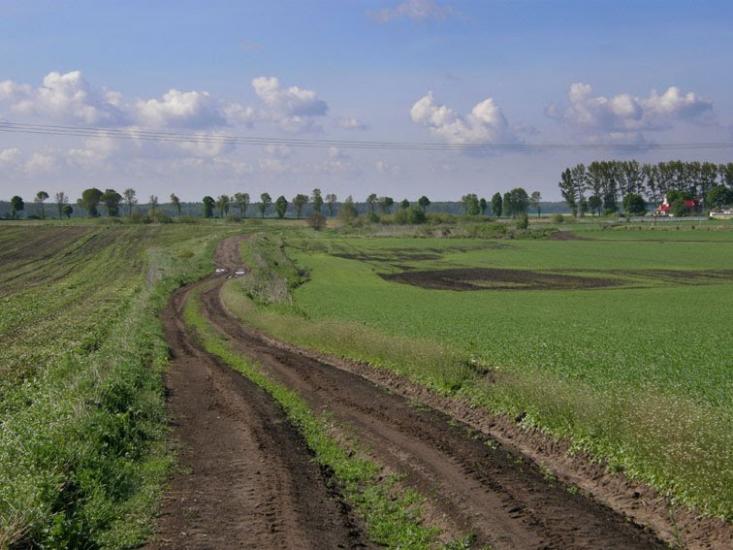 Стаївка з panoramio.com - Стаївка