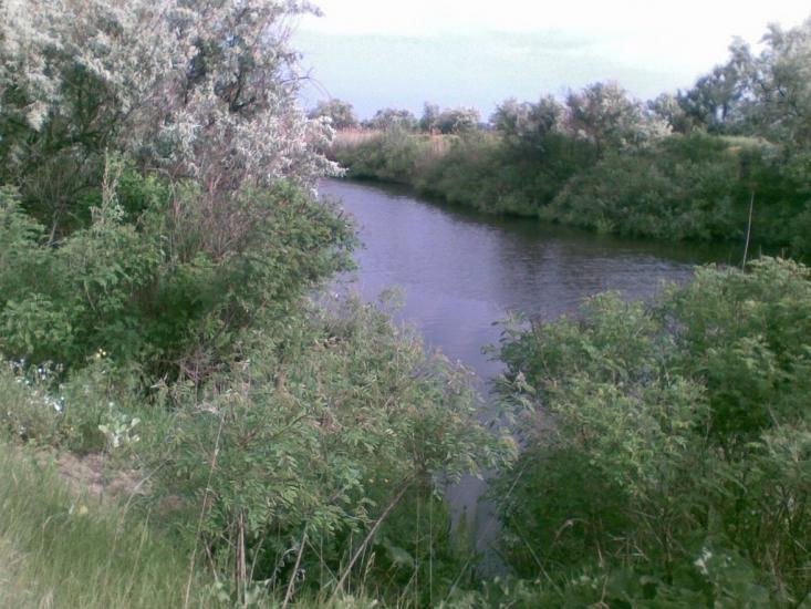 Єлизаветівка з panoramio.com - Yelyzavetivka