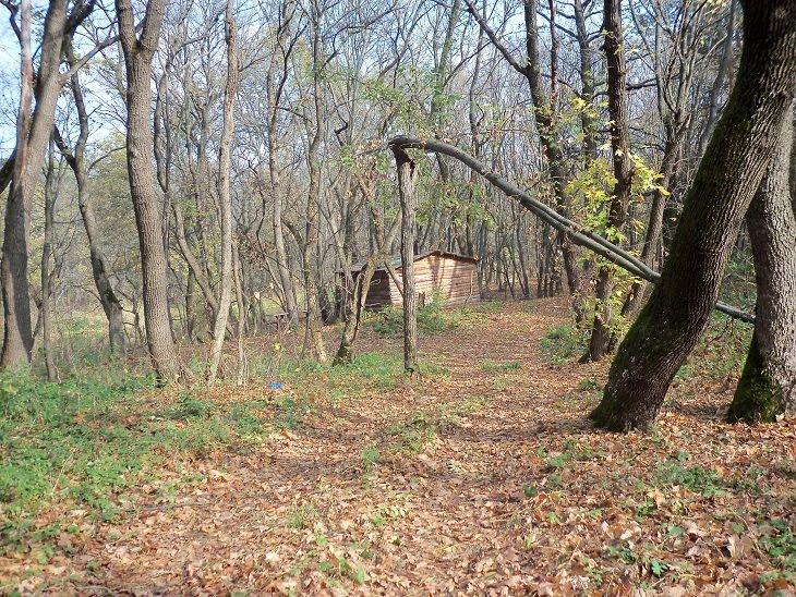 Підлісне з panoramio.com - Pidlisne