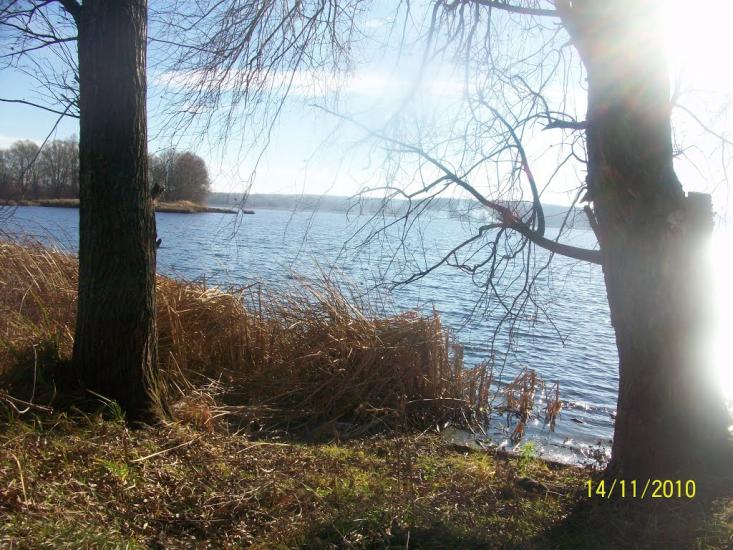 Червонозаводське з panoramio.com - Червонозаводское