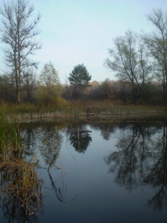 Кобеляки з panoramio.com - Кобеляки