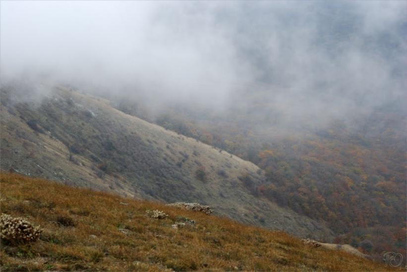 Міжріччя з panoramio.com - Междуречье