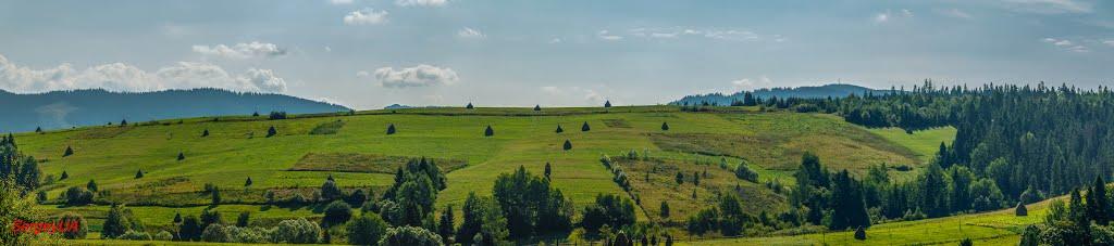 Плав'я з panoramio.com - Plavya