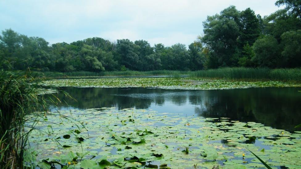 Потоки з panoramio.com - Потоки