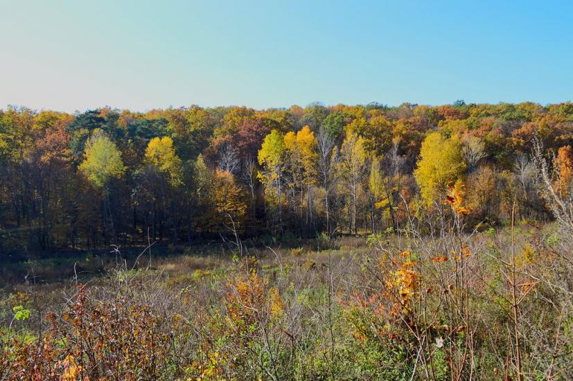 Балаклея з panoramio.com - Балаклея