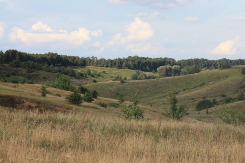 Піски-Удайські з panoramio.com - Пески-Удайские