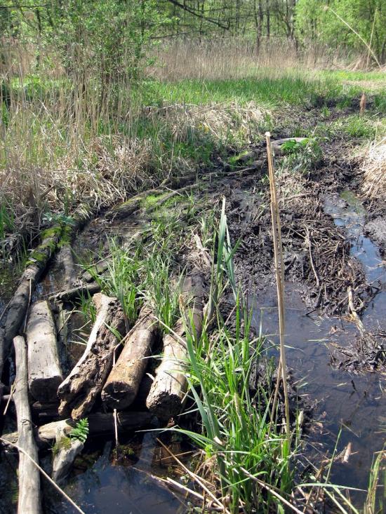 Шкарівка з panoramio.com - Шкаровка