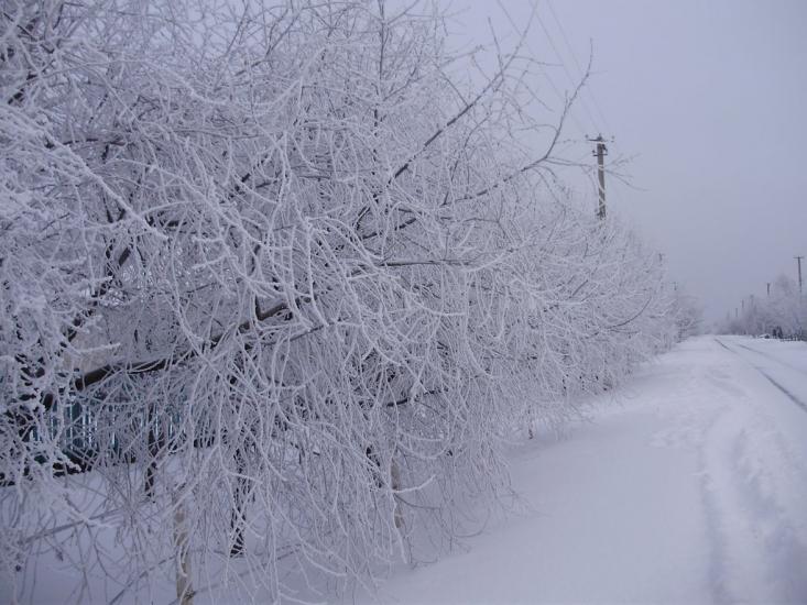Булахівка з panoramio.com - Булаховка