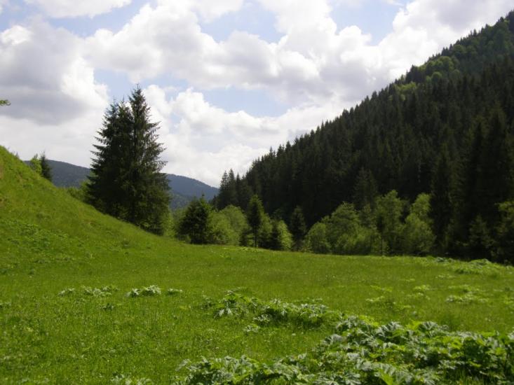 Богдан з panoramio.com - Богдан