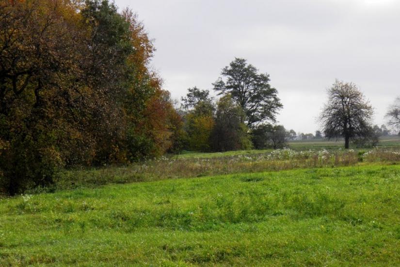 Углище з panoramio.com - Углище