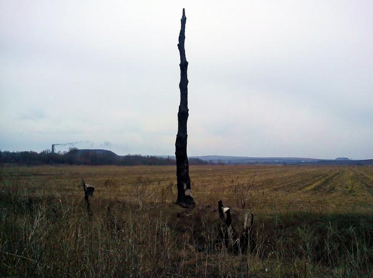 Біле з panoramio.com - Белое