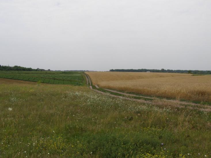Пінчуки з panoramio.com - Пінчуки