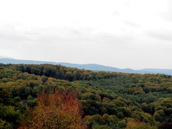 Кибаки з panoramio.com - Кибаки