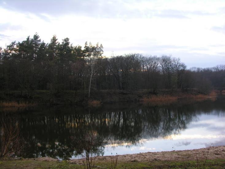 Хащеве з panoramio.com - Хащеве