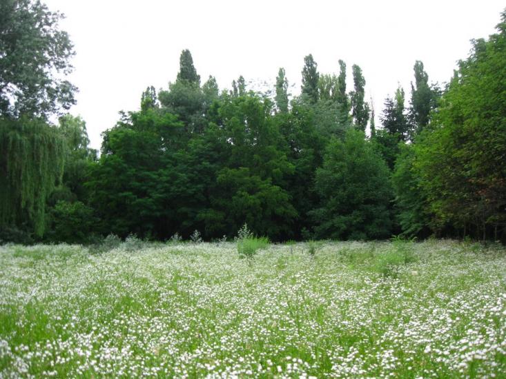 Золотоноша з panoramio.com - Золотоноша
