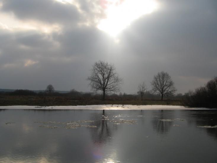 Вишевичі з panoramio.com - Vyshevychi