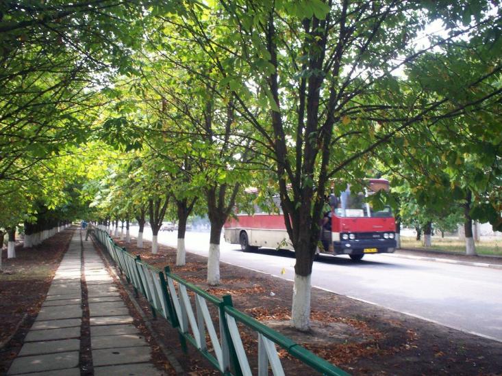 Чаплинка з panoramio.com - Chaplynka