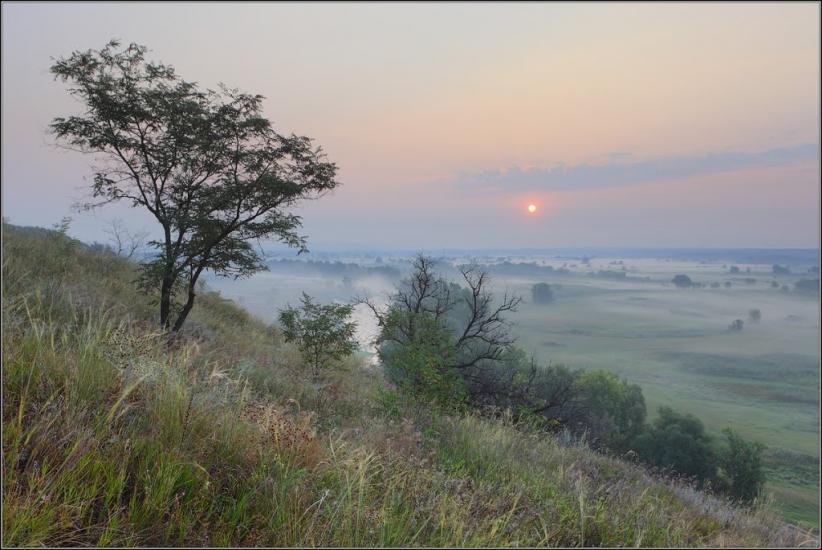 Задонецьке з panoramio.com - Zadonetske