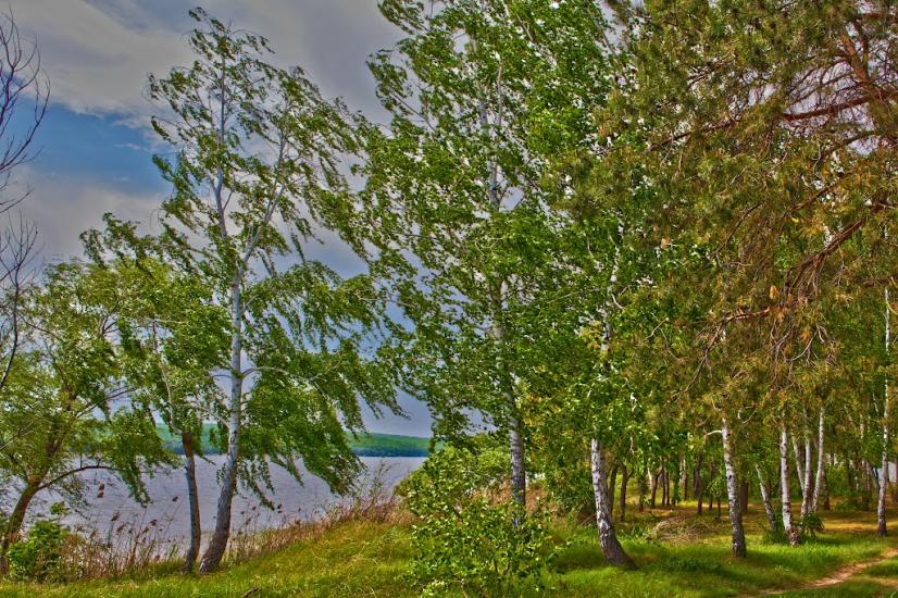 Хотімля з panoramio.com - Хотимля